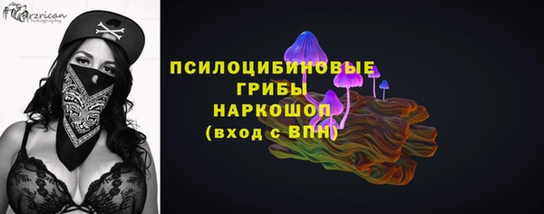 мяу мяу мука Баксан