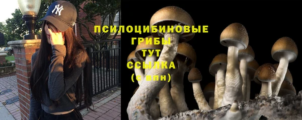 мяу мяу мука Баксан