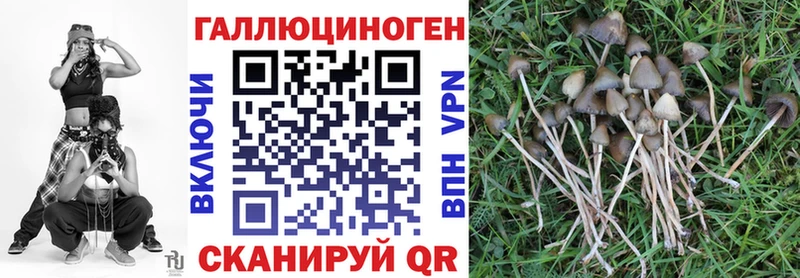 Псилоцибиновые грибы Cubensis ОМГ ОМГ зеркало Верея
